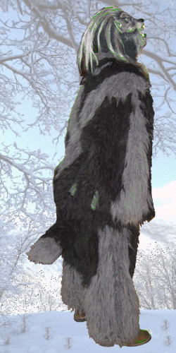Wolf