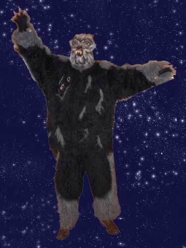 Wolf