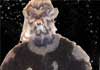 Wolf8
